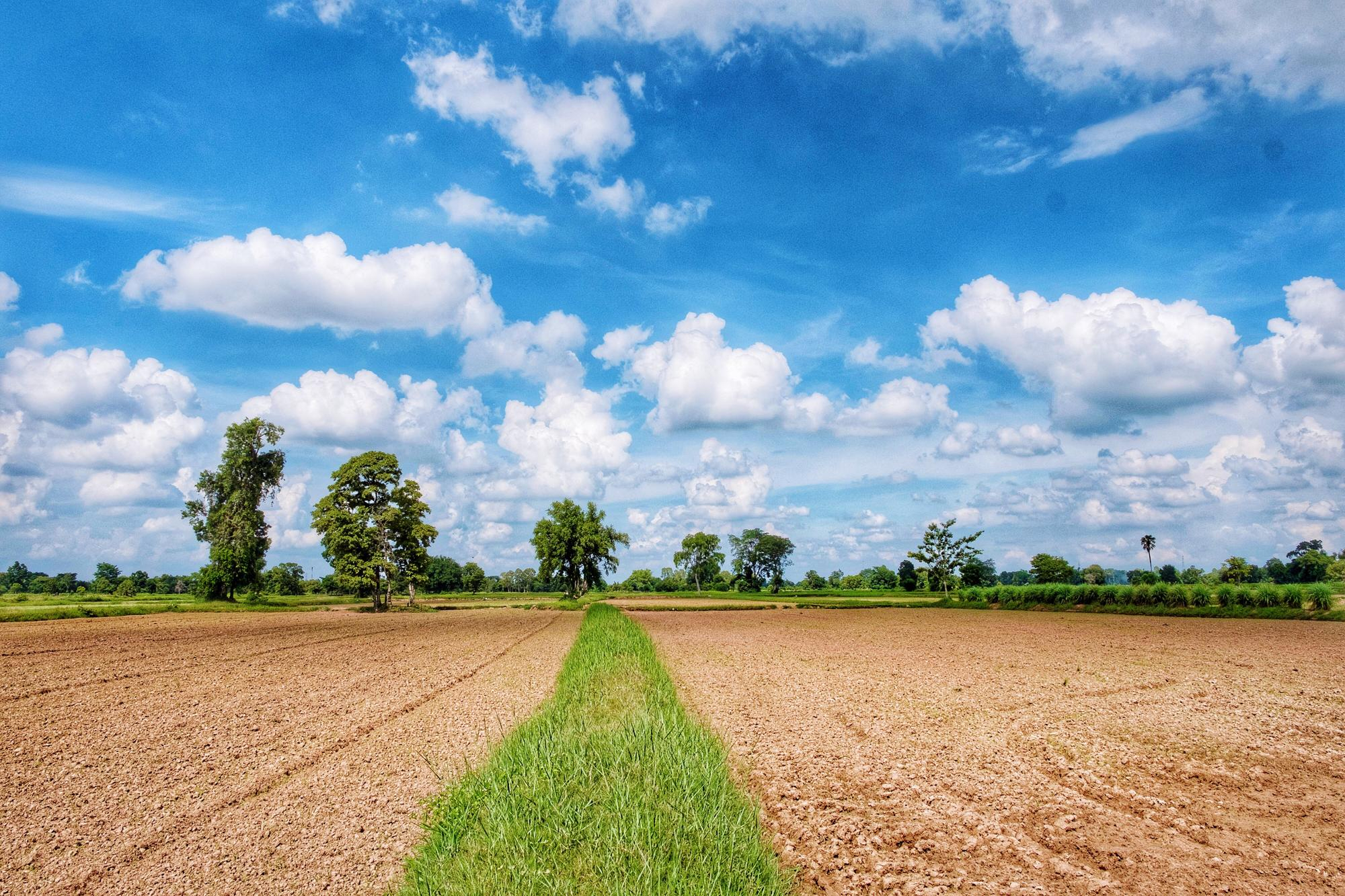 Demandes Actes administratifs